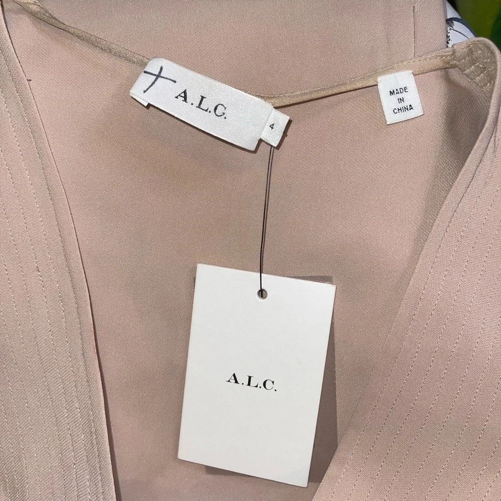 NWT A.L.C. Carmela Paneled Bodice Mini Dress. Size 4 - Picture 4 of 5